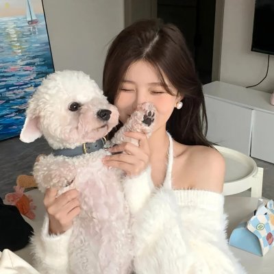 非常4女婿